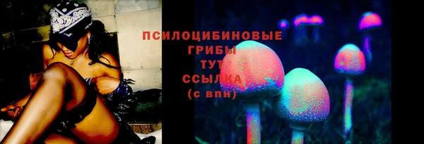СК Осташков