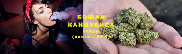 ГАЛЛЮЦИНОГЕННЫЕ ГРИБЫ Балахна