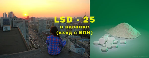 ГАЛЛЮЦИНОГЕННЫЕ ГРИБЫ Балахна