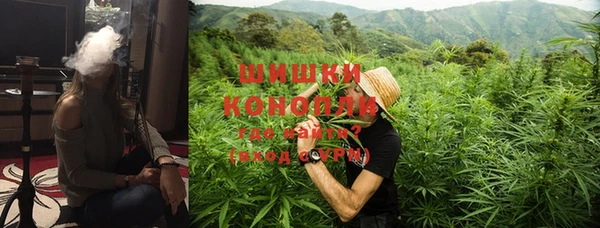 ГАЛЛЮЦИНОГЕННЫЕ ГРИБЫ Балахна