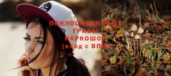 мяу мяу мука Остров