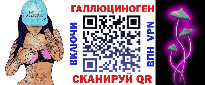 где найти   Заинск  Псилоцибиновые грибы Psilocybe 